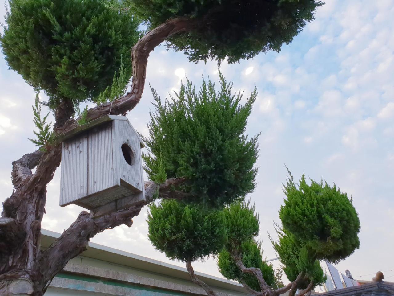 Hanok Raon คยองจู ภายนอก รูปภาพ